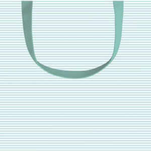 Caspari Gift Bag Robin's Egg Blue.