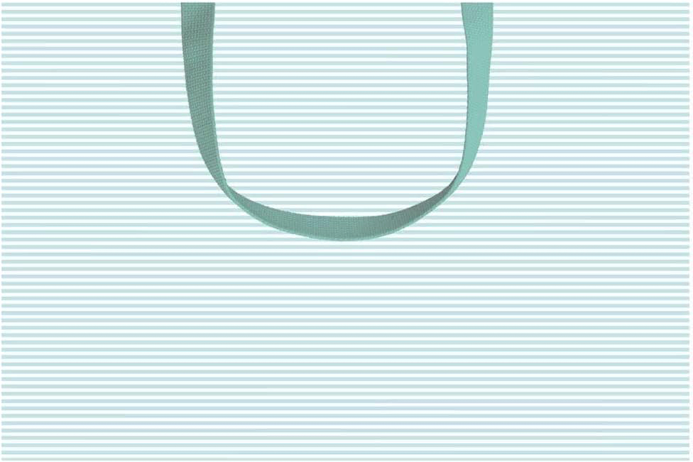 Caspari Gift Bag Robin's Egg Blue.
