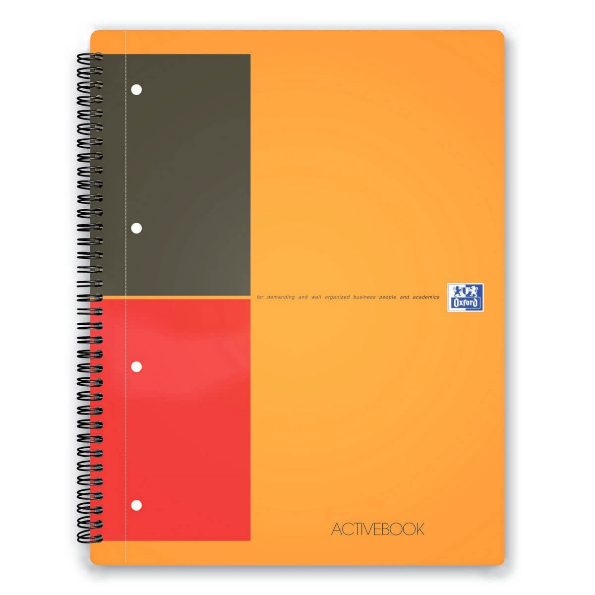 Oxford International Activebook Lined Paper A4+ (8.3 x 11.7 inches).